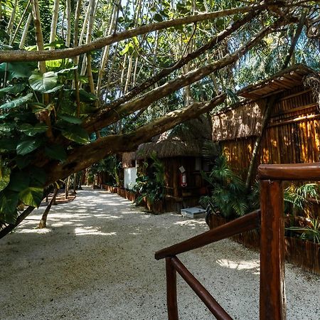 Eco Banitas Tulum Otel Dış mekan fotoğraf