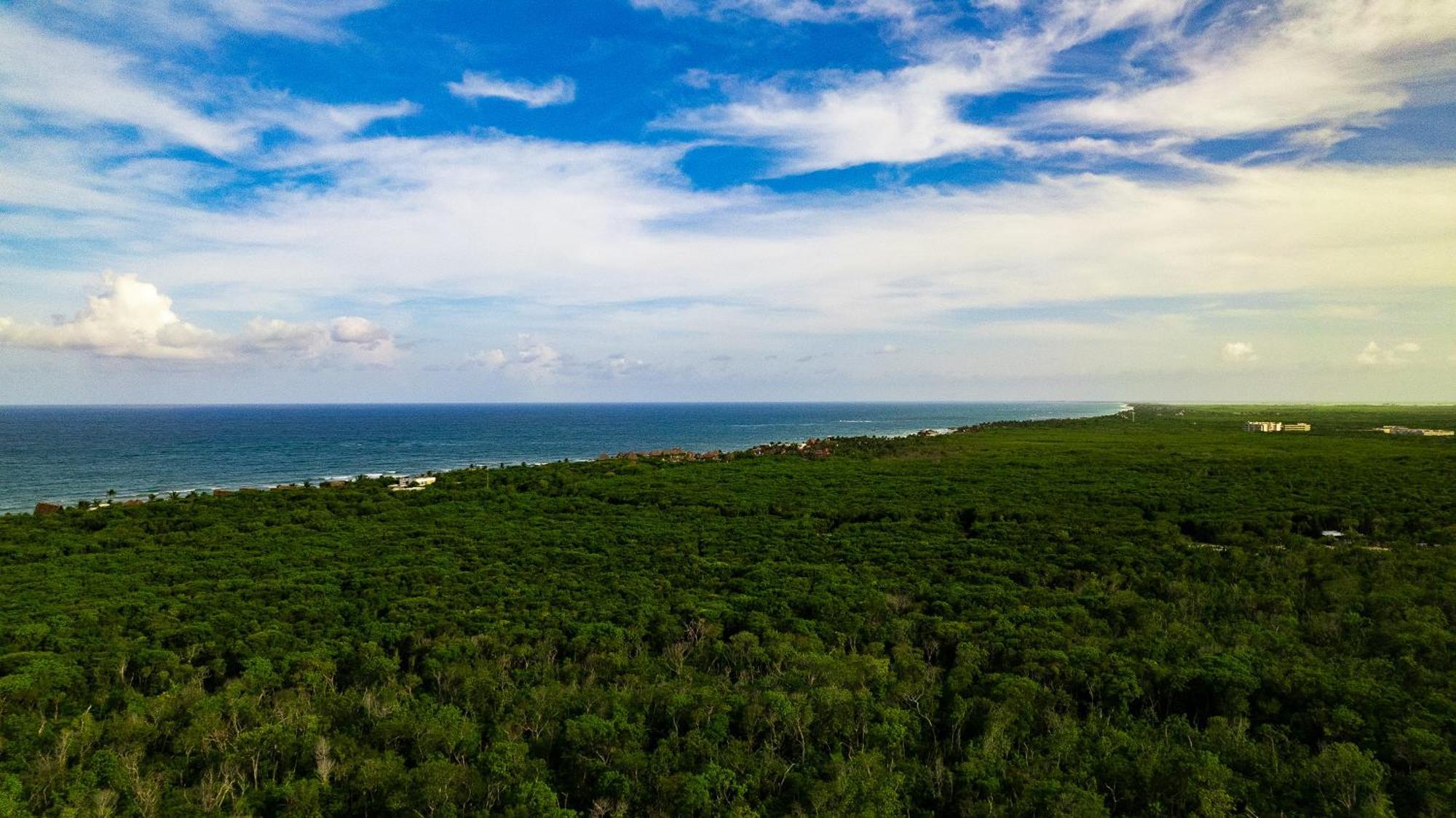 Eco Banitas Tulum Otel Dış mekan fotoğraf