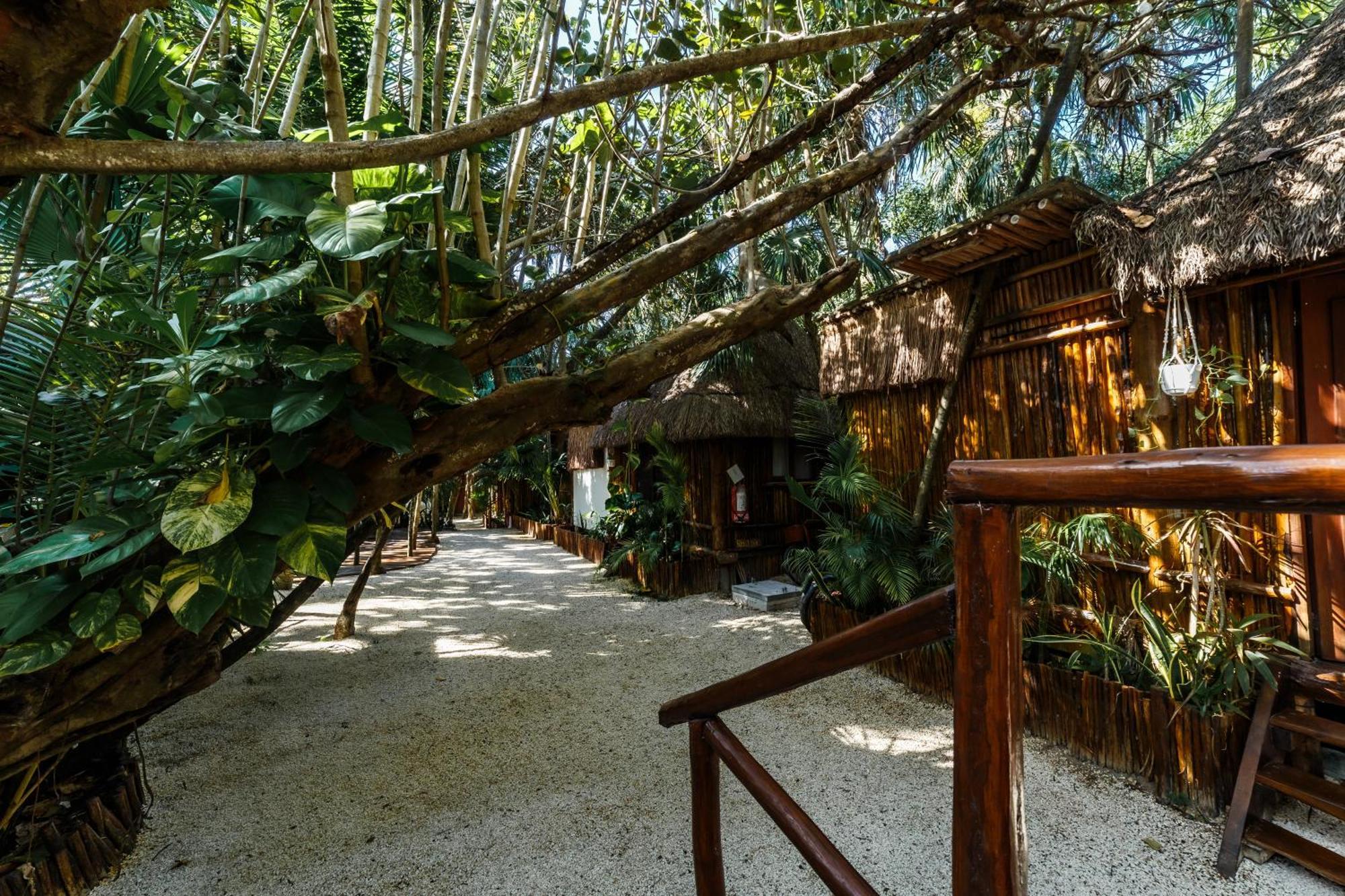 Eco Banitas Tulum Otel Dış mekan fotoğraf