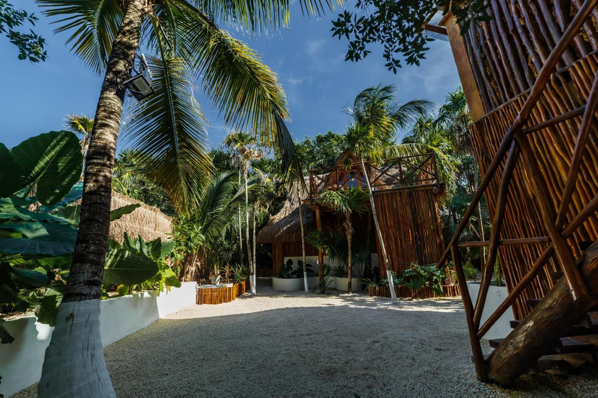 Eco Banitas Tulum Otel Dış mekan fotoğraf