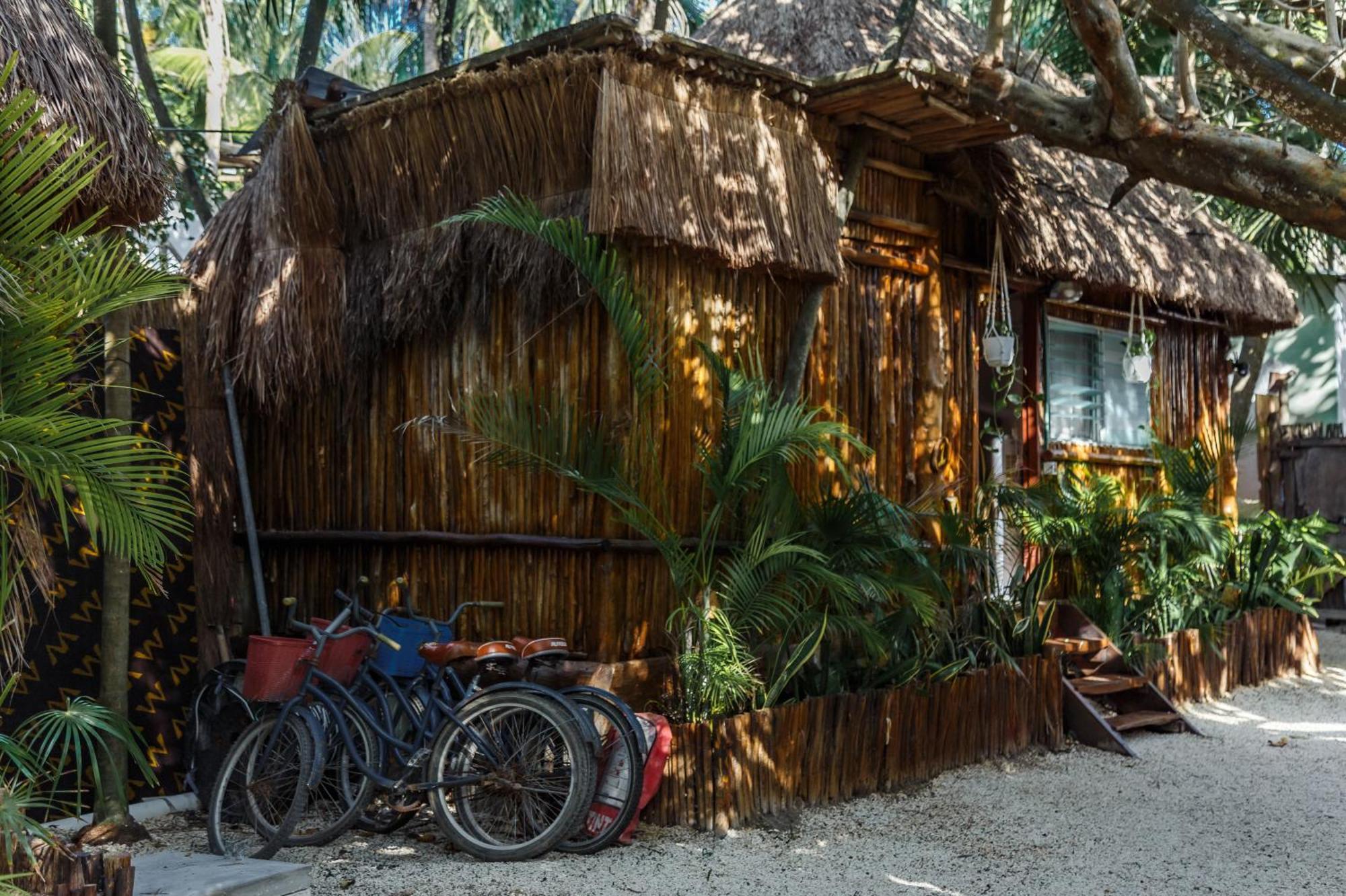 Eco Banitas Tulum Otel Dış mekan fotoğraf