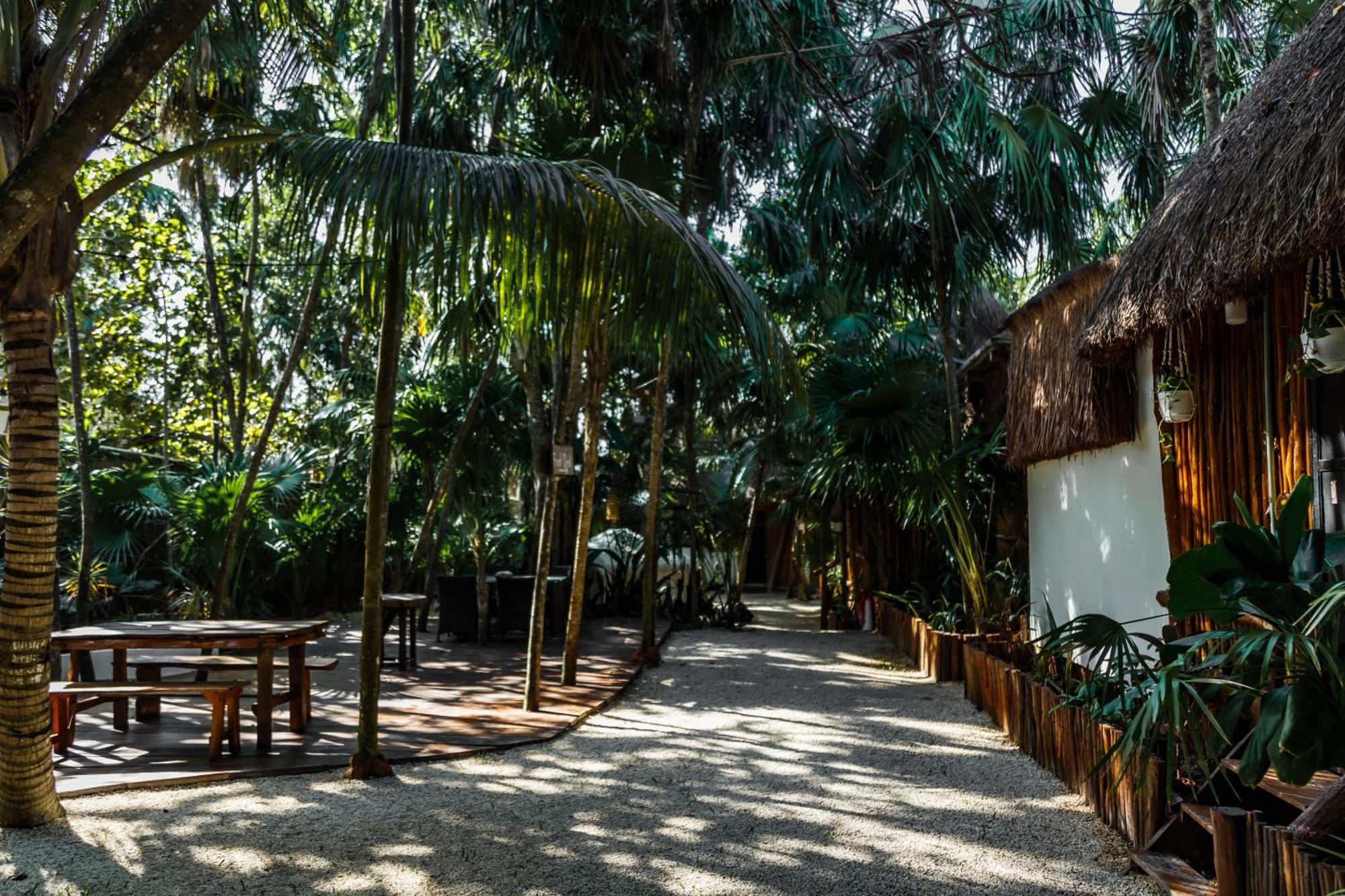 Eco Banitas Tulum Otel Dış mekan fotoğraf
